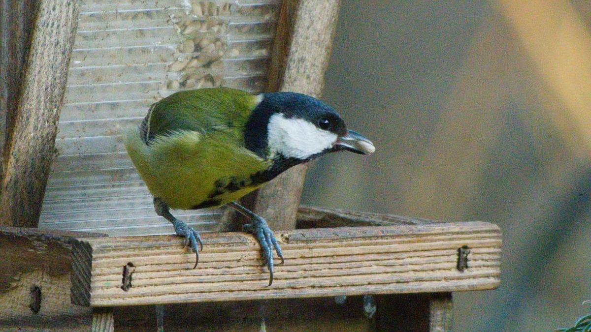 e58d14fa-6fb4-416a-8e21-4bdc3eb73a61