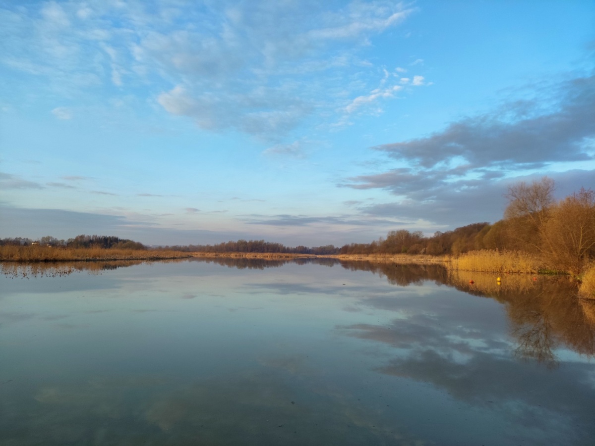 41ba1631-634d-4177-beba-f15a312978a9