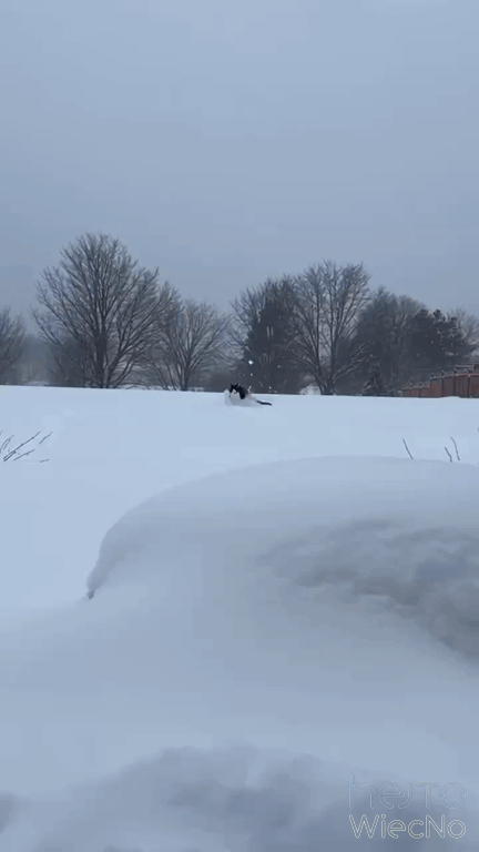 aa5f4b74-b1a4-4d45-958b-0c693301592f