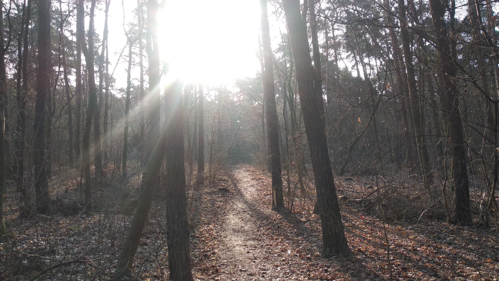 716676f3-1636-4d5a-b779-5ab46009e1b3