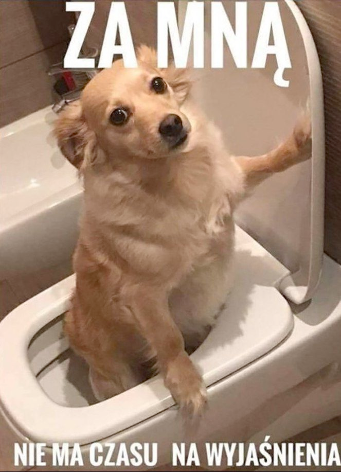 0cbb88b5-56fc-4056-ba3b-e50b54705dcd