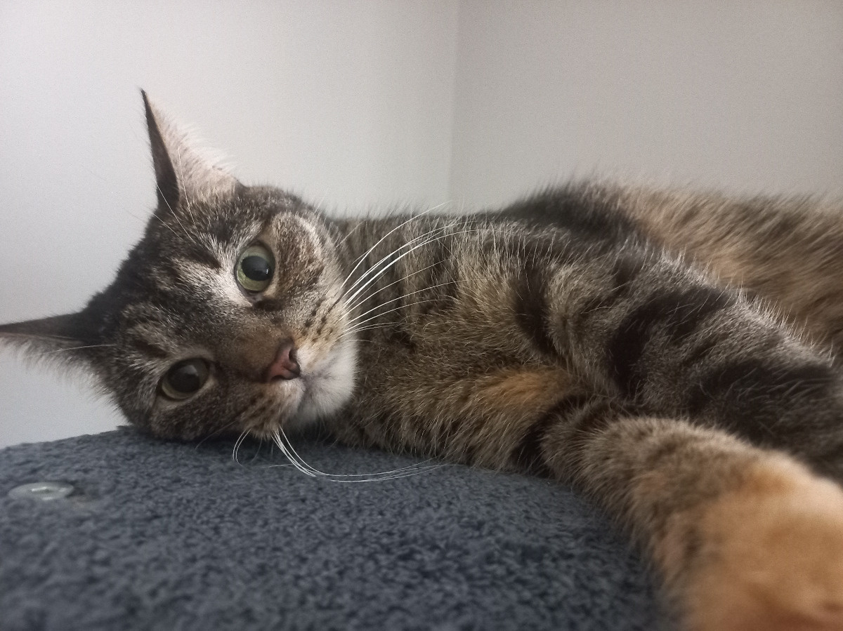 d631e6df-b33e-49fe-b5b7-2692f287a408