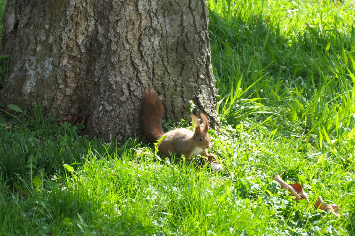 16169471-b5b0-4704-bd05-8b6954050133