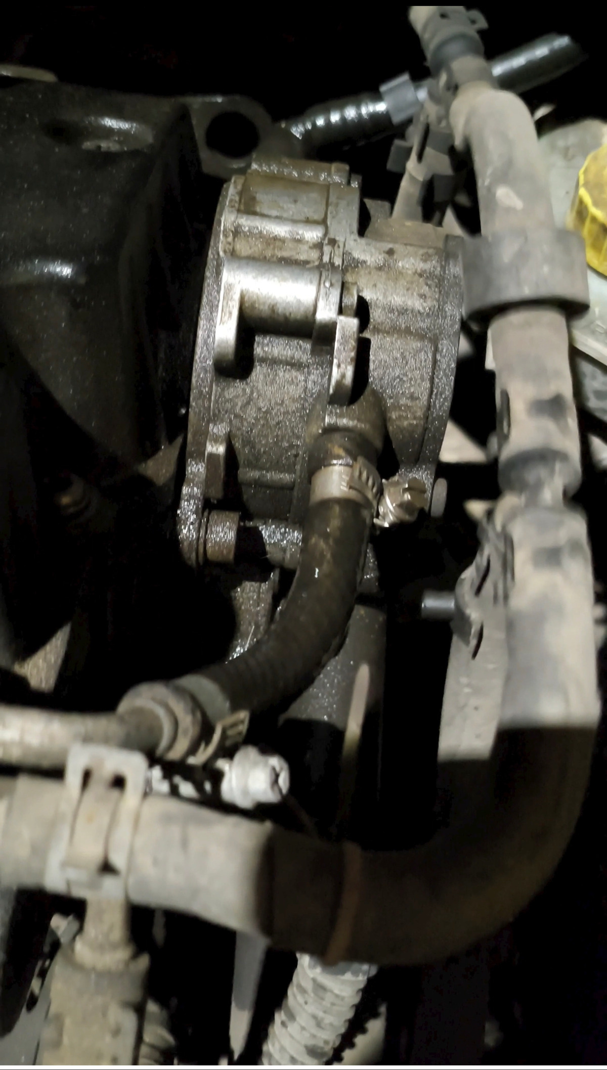 d1c4002a-33f8-4b3d-be8b-26b48a081689