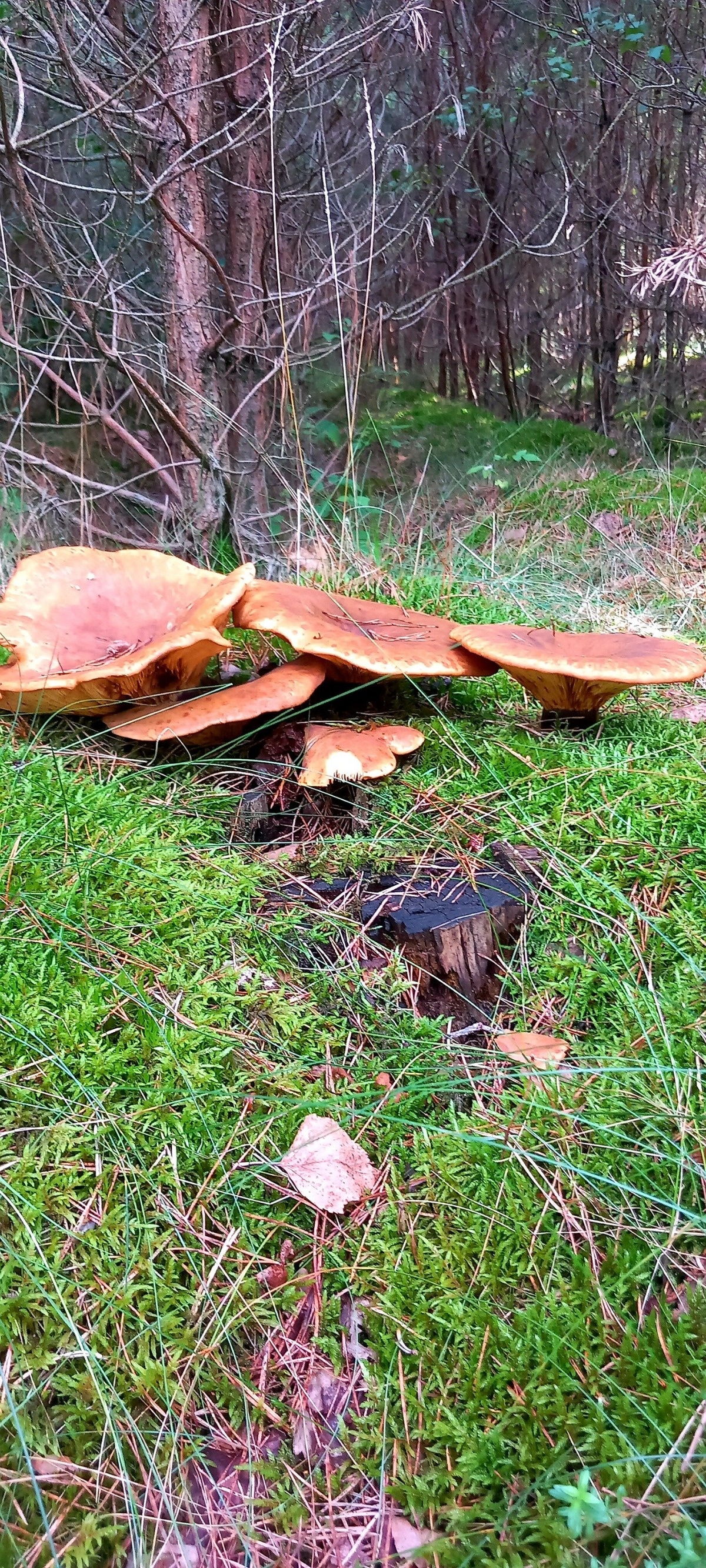 d9fd3f66-4c2b-4b80-83c9-36e9b6fa9c41