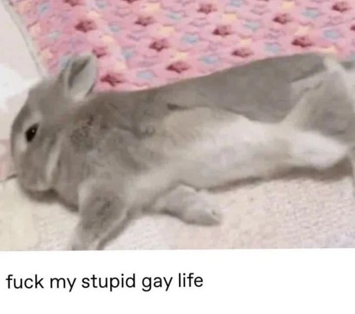 47c242cf-782c-4620-8411-2d68ef9da144