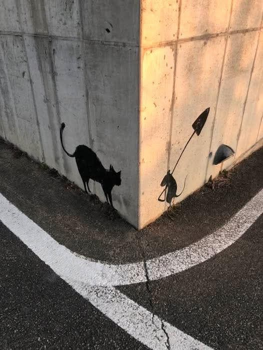 d93363fe-6800-4961-bc3c-5a7091105cbe