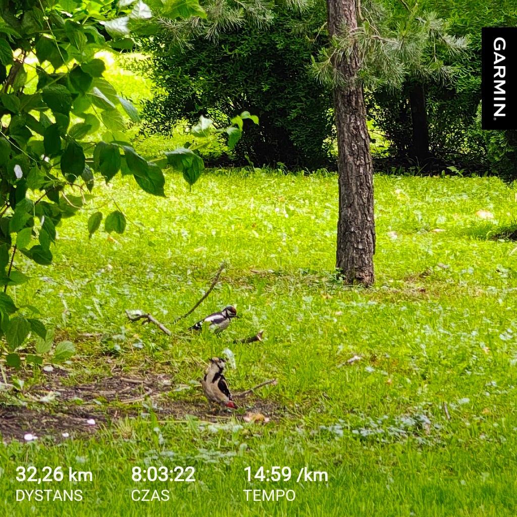 2076db0b-2a9d-41f0-bb83-fa858fa18b2c