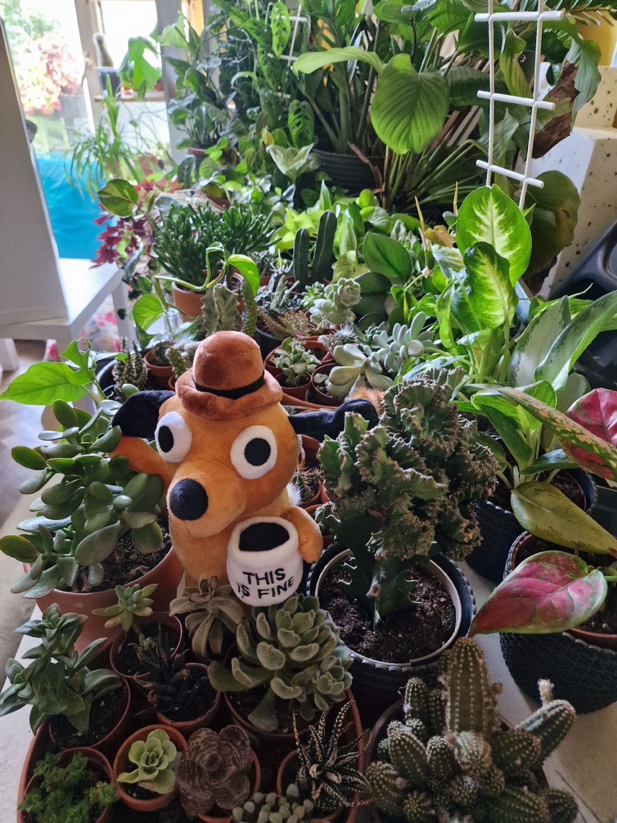 098d75d8-fdfc-4371-8ad1-4eda271d00b3