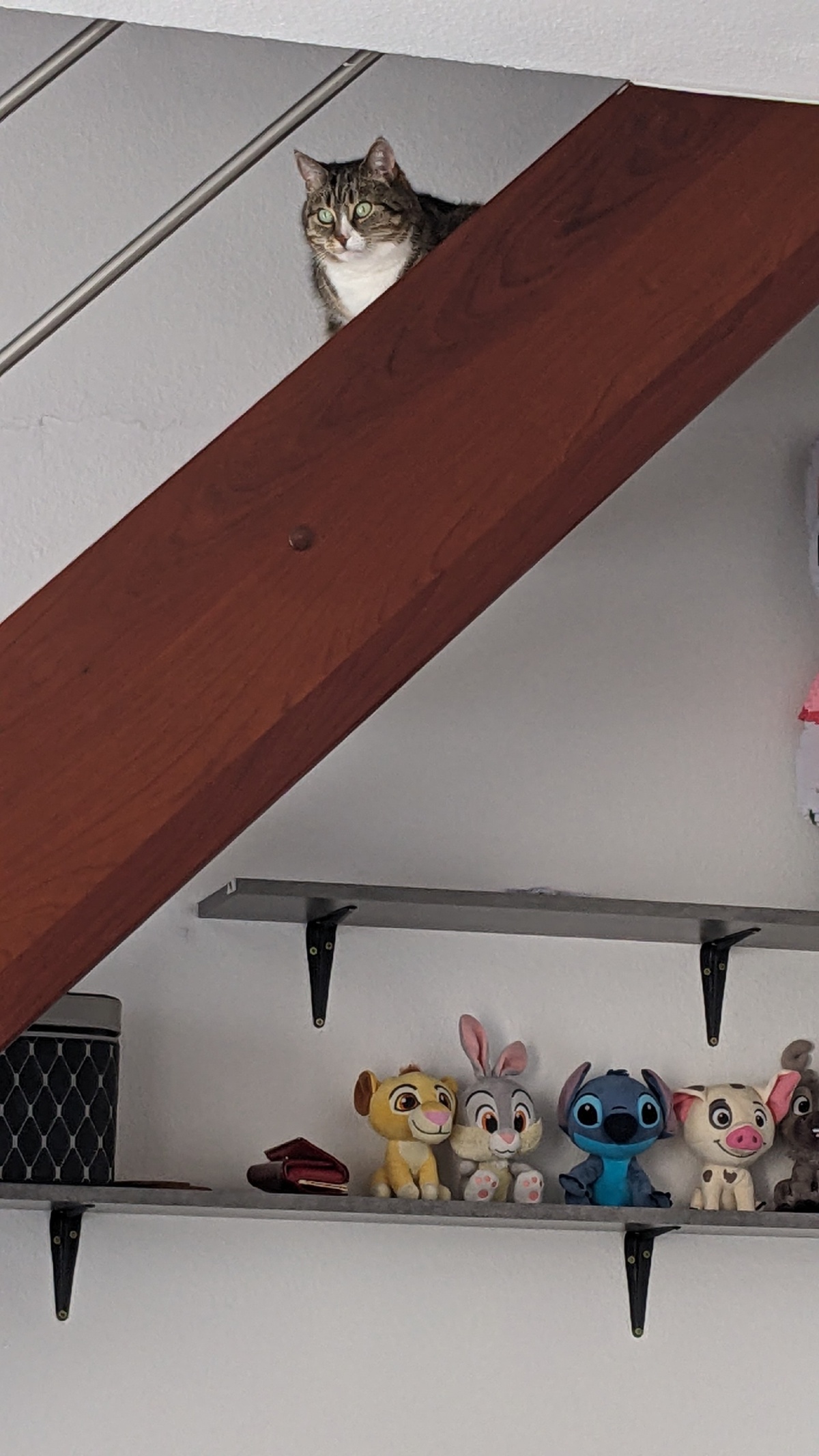 a746940a-595d-431f-9993-1cd9e6da0122