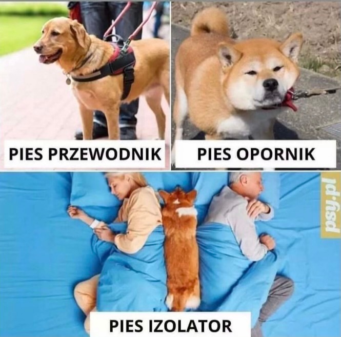 711bc502-a31b-41c6-aaf1-9fab64c61a65