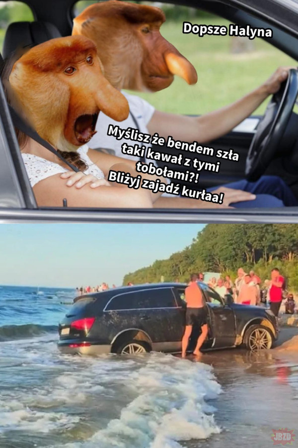 2f978f4d-d6f8-418a-a9b2-f354e782422f