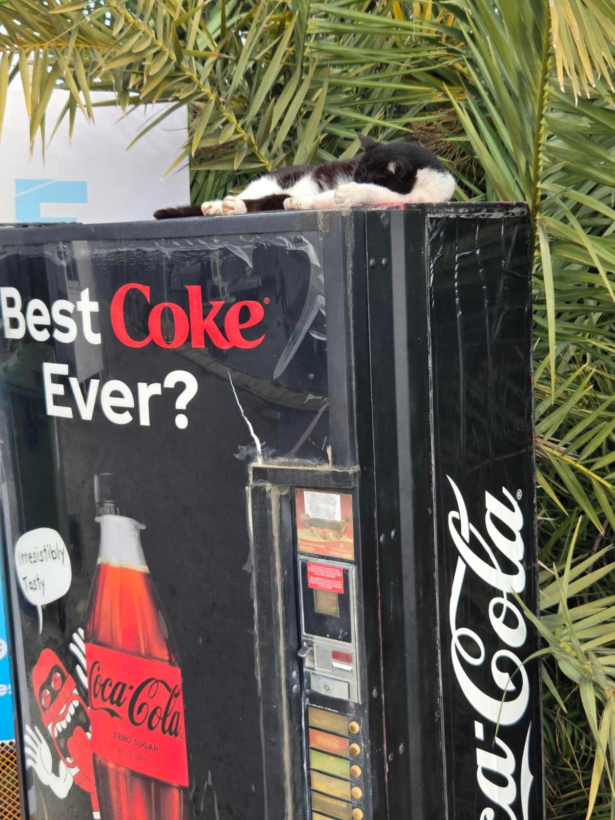 139046be-8d15-40c9-9520-28a7f1b0d995