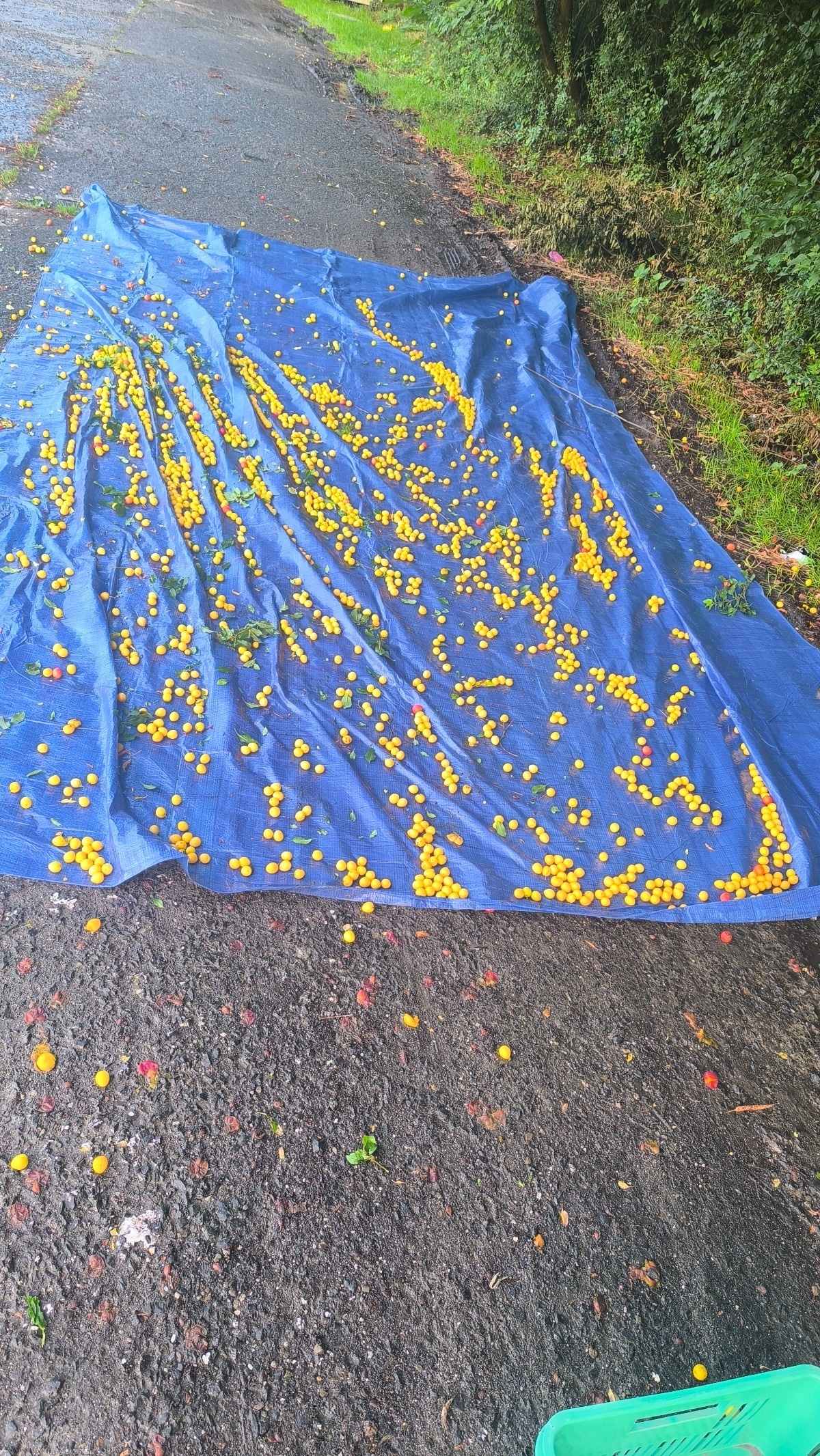 b903f85b-8eed-4f12-814a-a39c32435512