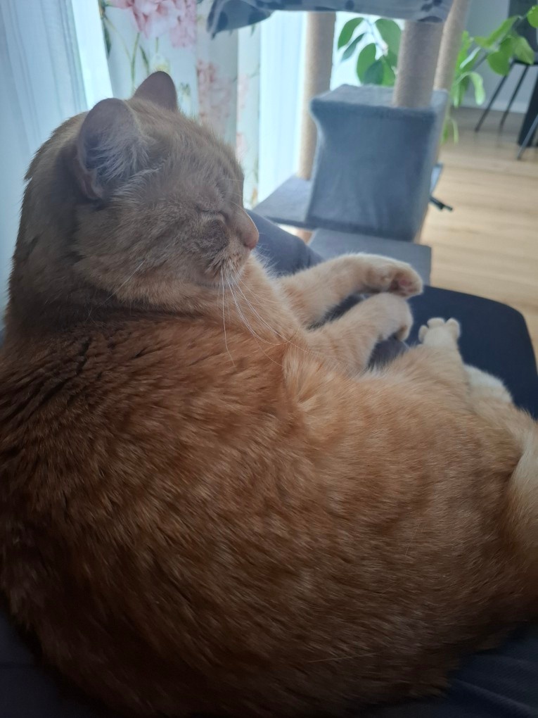 58f3ddd3-774a-4c72-8e8d-c143dfe55c3f