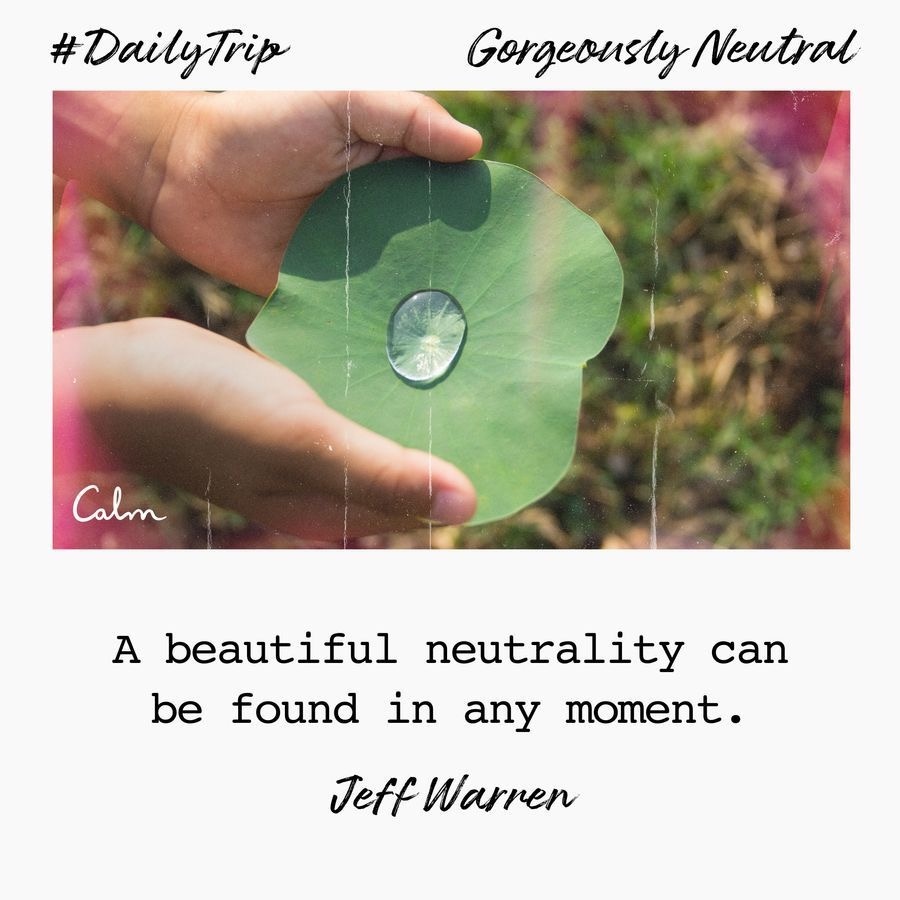 431c74f3-389a-434d-aa6f-c0bd03646b86