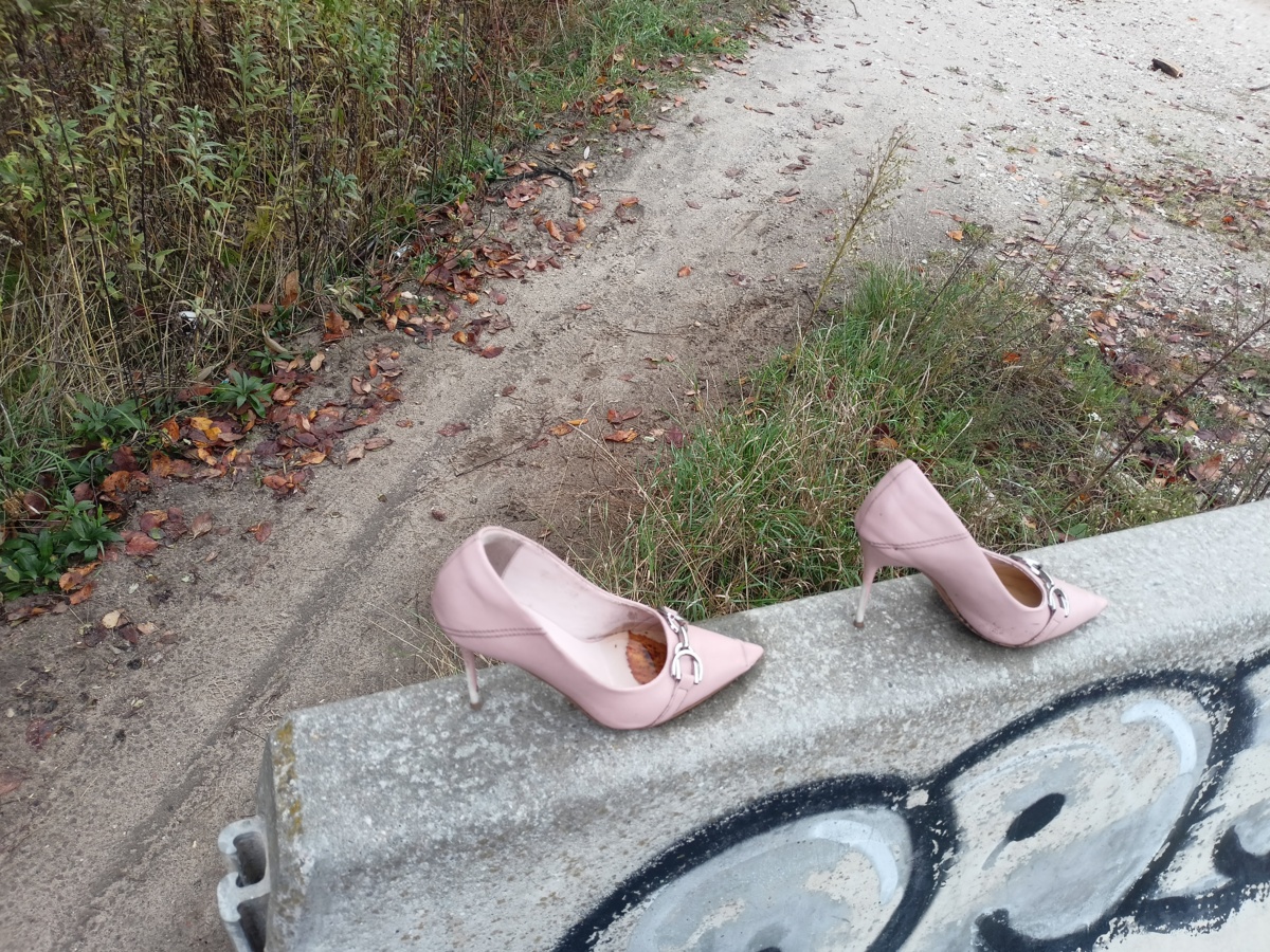 29ee5746-6763-455b-b9ea-e52efbcd16e5