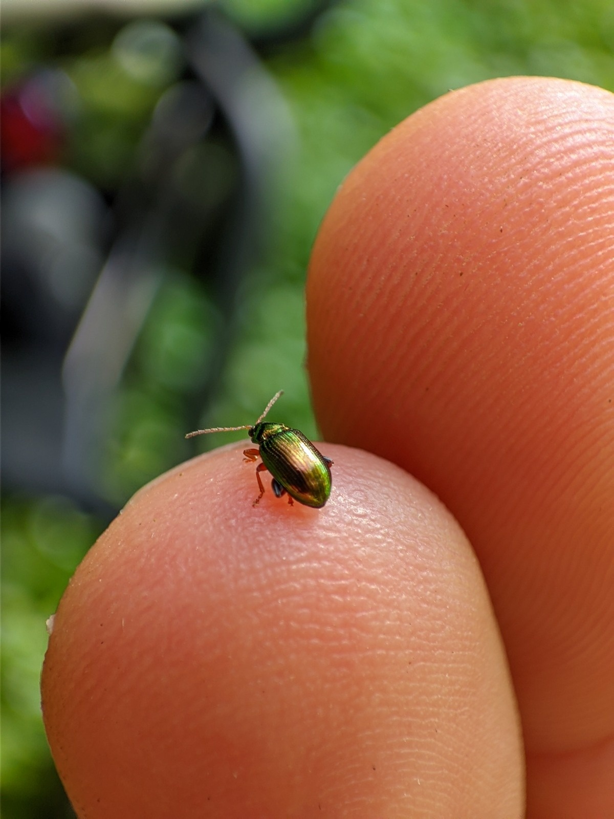 fdfd6910-2e28-494e-9c86-d604aac83e19