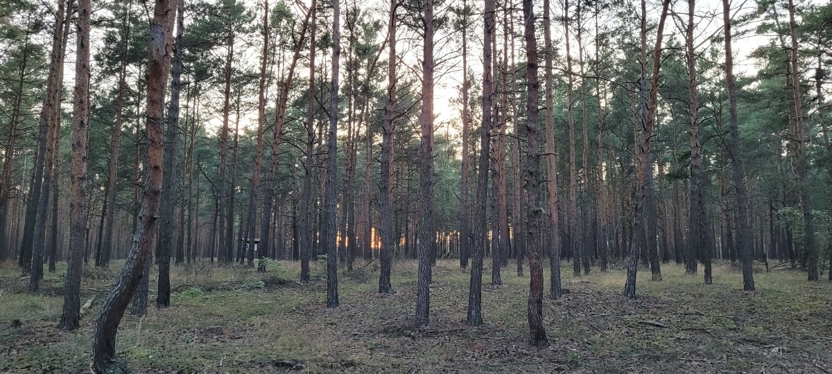 cc7712f6-e521-4025-a1b1-c7006475dbb7