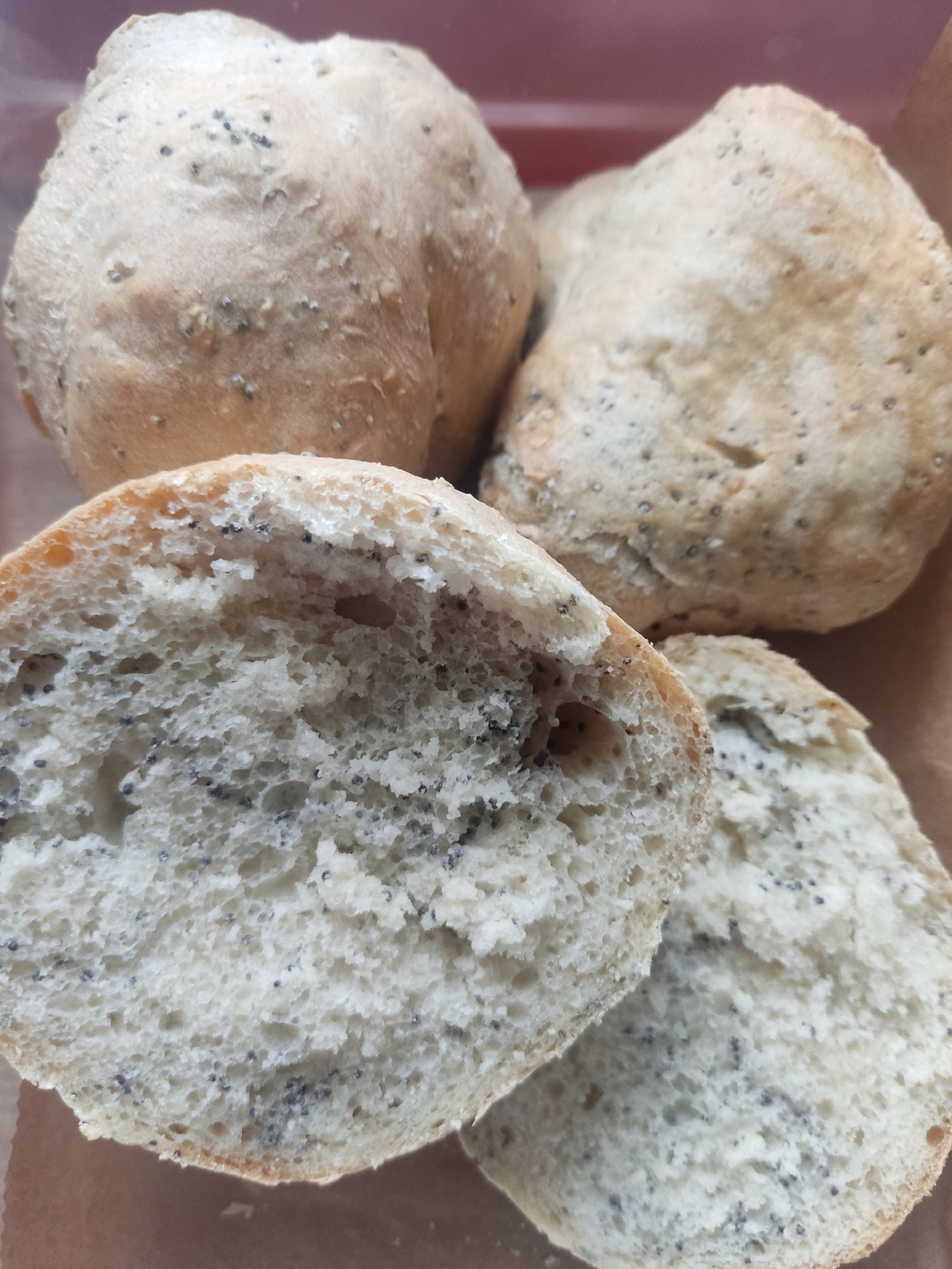 0e5e08e3-d482-43c0-99eb-018c1be4739b