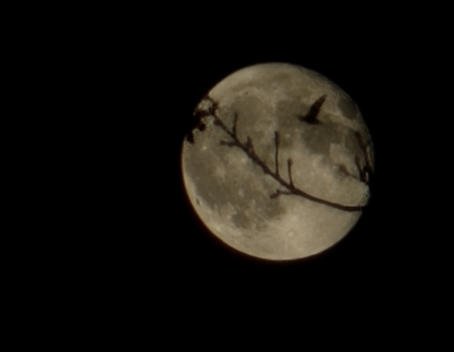 ffcd8fba-3c76-4d8b-ab48-682ffb0f6daf