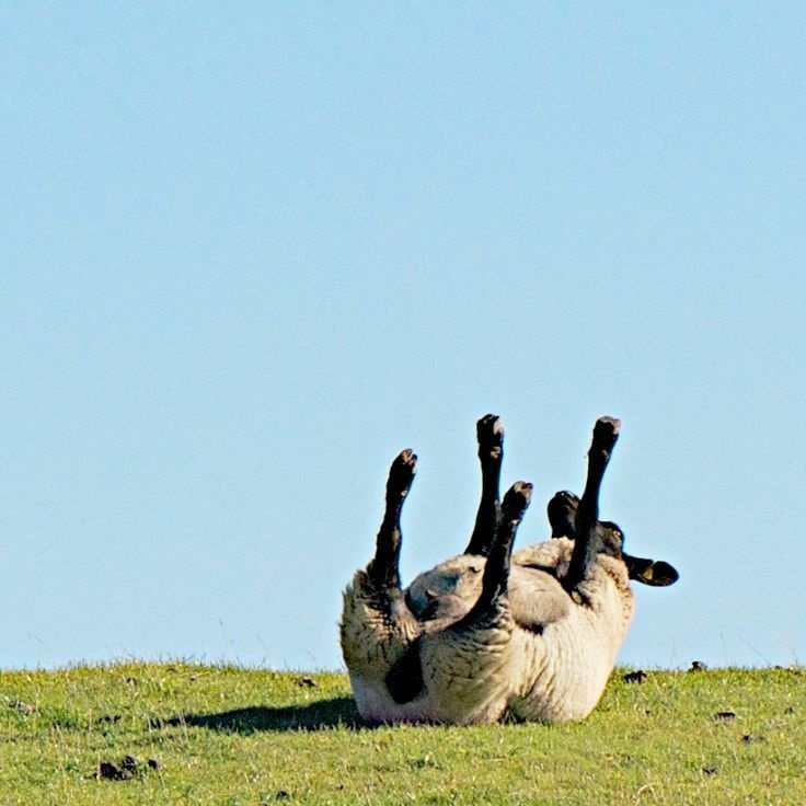 97eefa52-397f-445f-8e59-65e327c28a2e