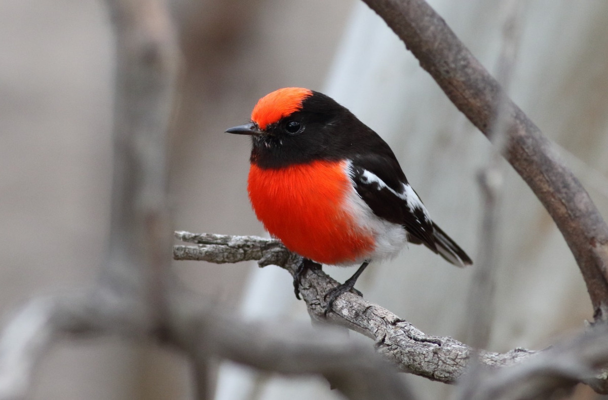 db7fb05a-14e8-4fb5-8c7b-5177cfa38c94