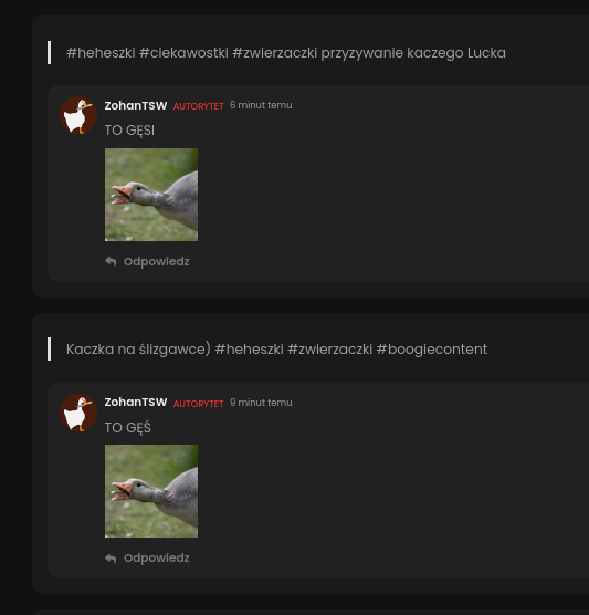 d783de20-df5b-40b8-b0be-368cae2ac104