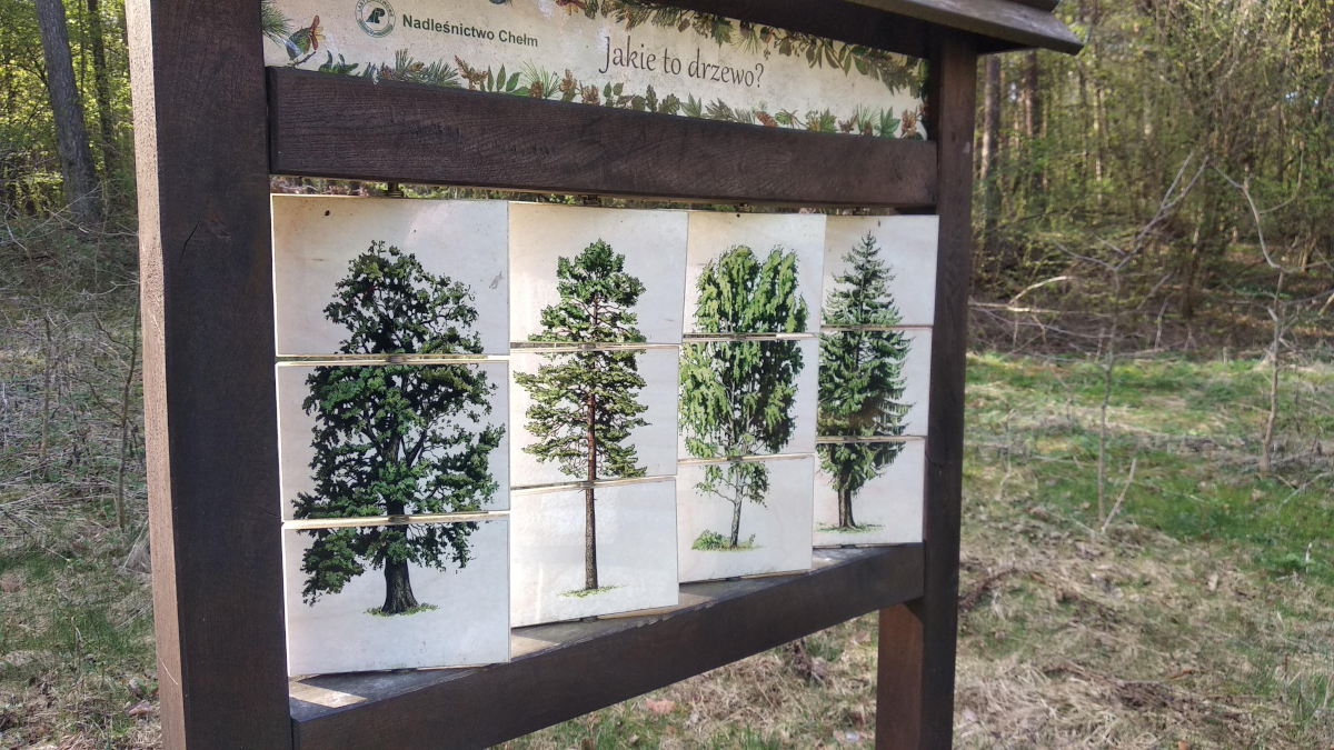 55648a17-bcd3-47d9-a2d9-d66f5fb7d707