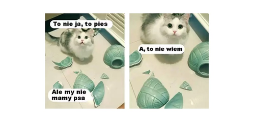 aae030cd-a867-4481-9822-232729121265