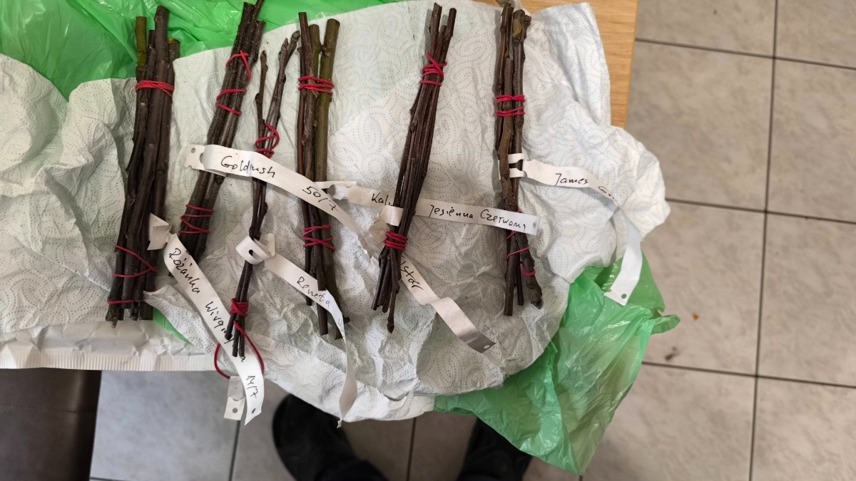 82450c0d-e795-4b61-af4c-bd65d60f5838