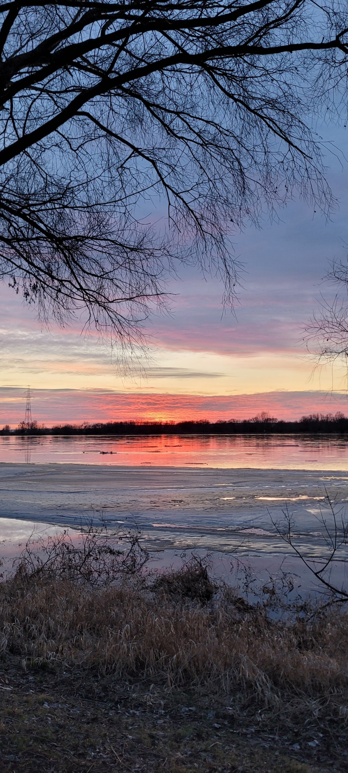 e0210e56-7389-43bb-93b7-878b45b208b0