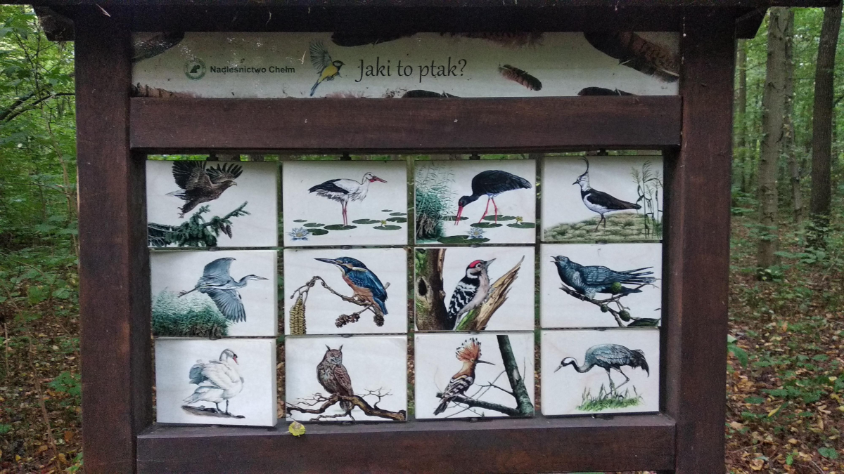 34d4050b-5c79-475d-bb37-a1b3fd852b4b