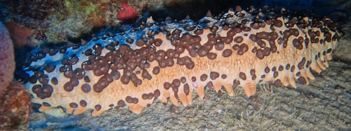 5b4dc134-62bb-41f1-83c6-5fb55280b50d