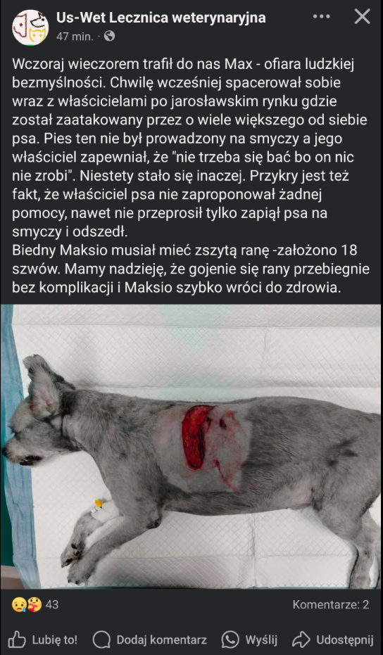 45327dbb-adc7-4d24-bd57-9ecc3a9a5a4e