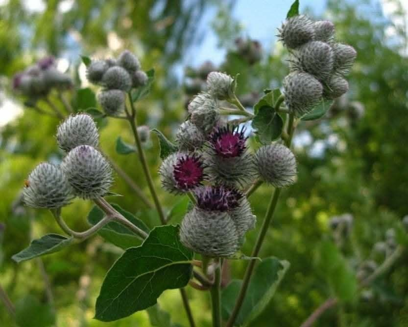 29ca6038-302a-45df-a213-e3868593b891