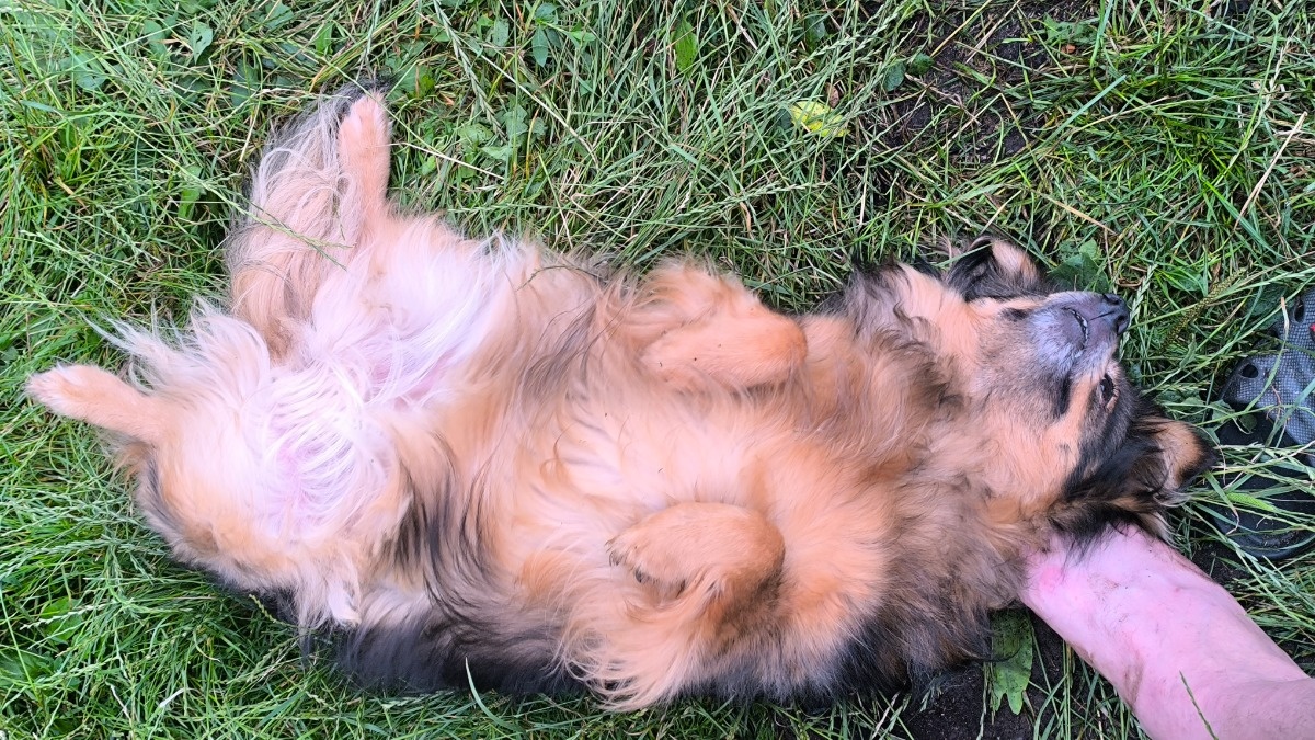 475c44c6-262a-4567-910a-dfc0a2e04fa9