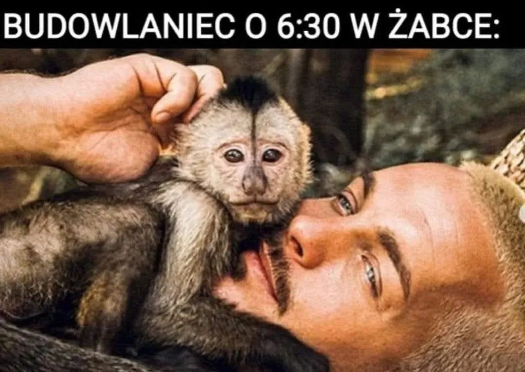 2ad17843-abdb-4568-a180-1d98403888dd