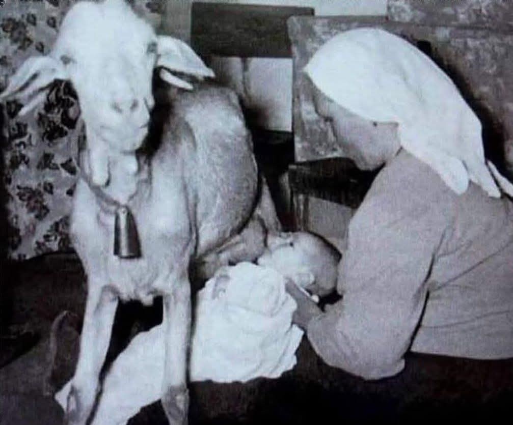 594b5395-044c-4010-b1b7-a7dacd72deb2