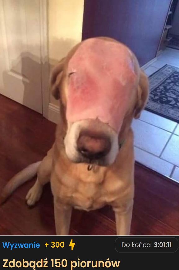 1fdd9fe2-31a8-4f03-9042-bf97e3c62747