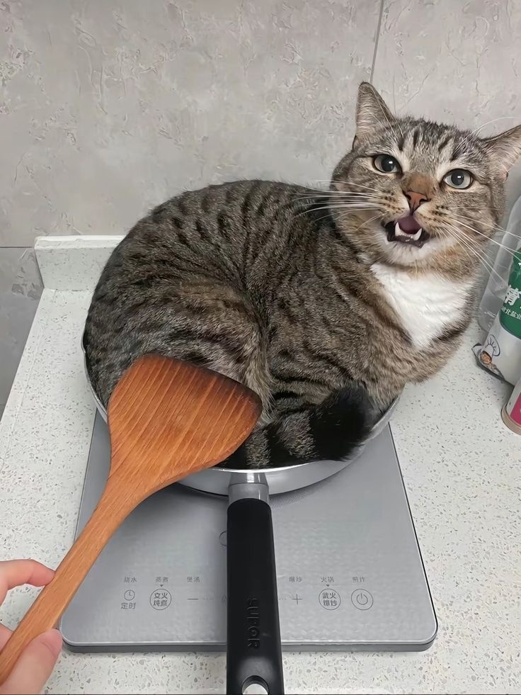 80bba97c-194e-4a21-a0f6-57bbb2c46738