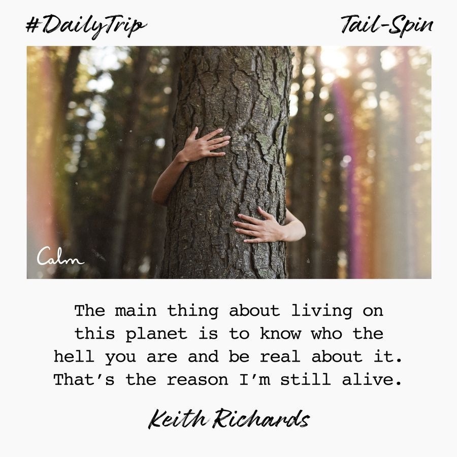 f1e5c07e-25da-47e2-b9e2-b4cae804b1f1