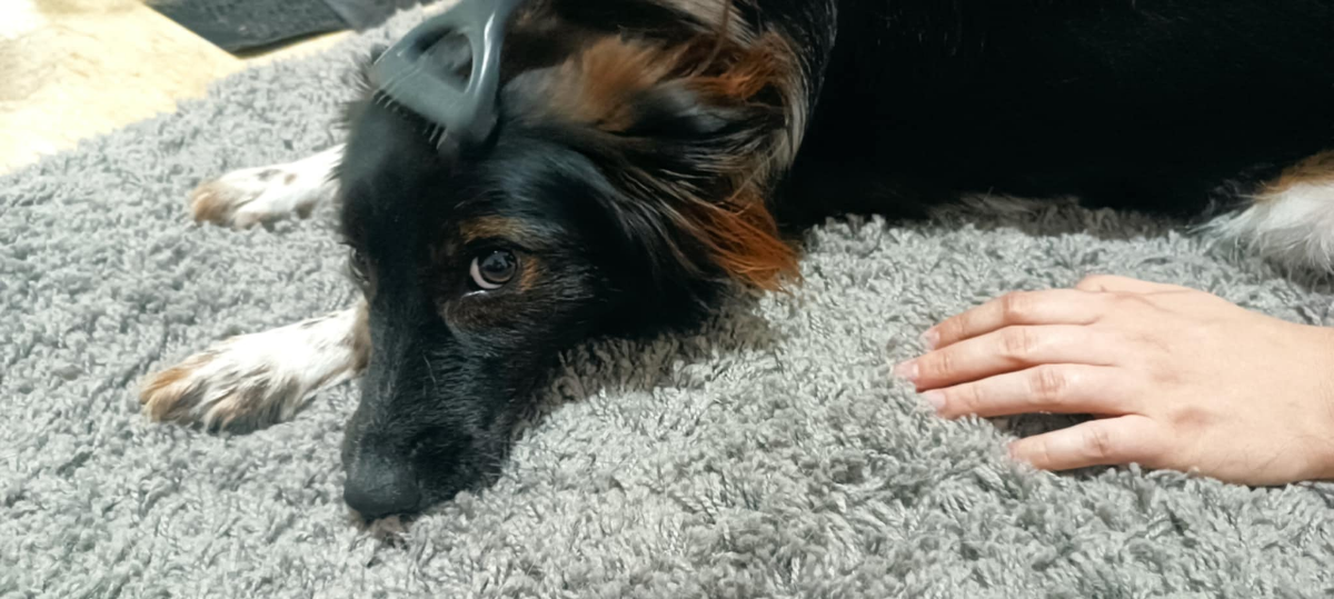 48b6a2e8-01e9-41c3-a115-d6c05d1710af