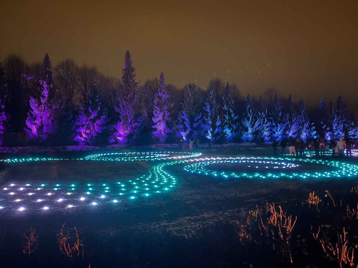 781de8ff-bd85-4490-9827-fd5488802beb