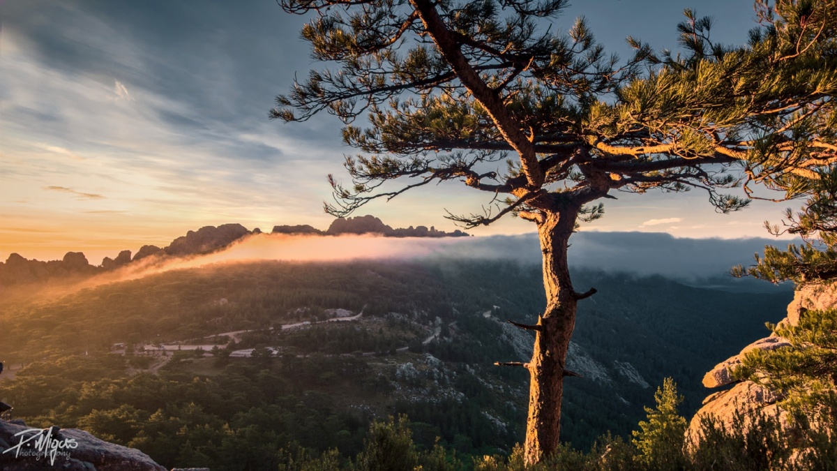 dc013dc1-d5c8-4579-b427-c3682f2ab226