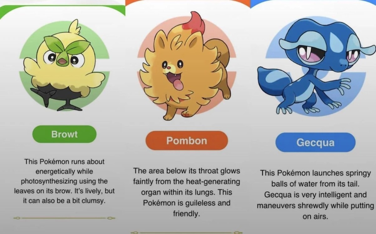 ed7ee5c5-5d19-4db0-809e-c146d8084eaa