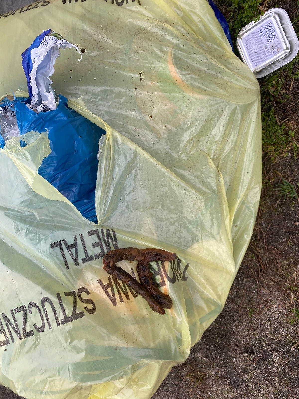 feaa66cd-bef8-40fd-b177-b04cbe08c42d