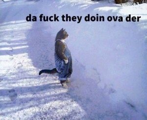 8e58b2b4-d8e9-498b-9a31-c500a6405818