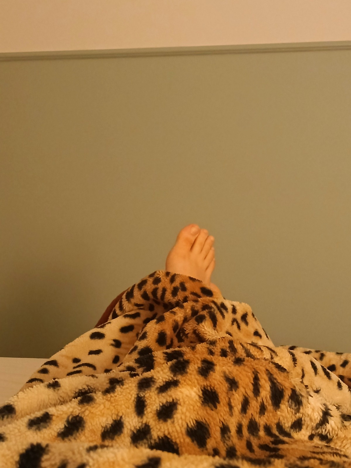 700128d3-1b45-4485-ad44-647118f6affd