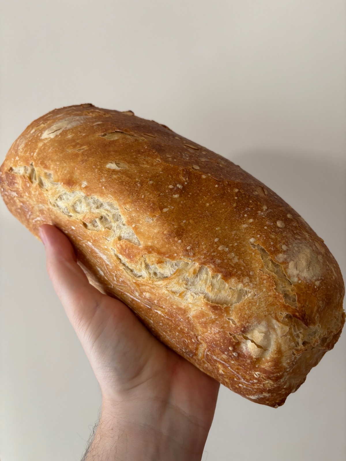 c5310580-a54f-4e62-8157-271db2b298f7